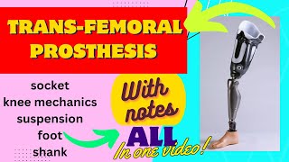 Transfemoral prosthesis all parts socket knee unit suspension foot etc detailed explanation [upl. by Manuel]