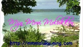 LAGU MALUKU  Maluku Molukken konde bunga ron vocalTheresya Group pimp Harry Leiwakabessy [upl. by Debby]