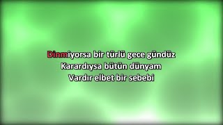 Sezen Aksu  Kaç Yıl Geçti Aradan  Karaoke  Full HD [upl. by Orion637]