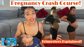 Pregnancy Trimesters Explained  Pregnancy Crash Course Symptoms and ToDo List [upl. by Eyaj]