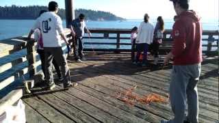 Dungeness Crabbing Catching Cooking How To in Ambleside Park  Vancouver BC Canada [upl. by Lalib882]