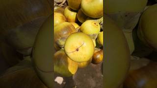 The Taste Of Ice Apple Is Amazing😋 shorts iceapple ytshorts youtubeshorts viral trending [upl. by Yoreel131]