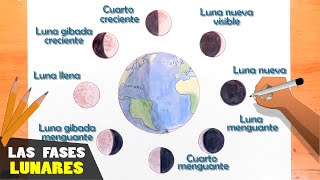 Cómo dibujar las fases lunares paso a paso [upl. by Edroi]