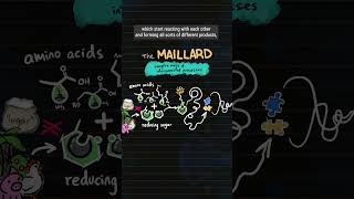 What IS the Maillard reaction cooking food yum GBD [upl. by Leasi]