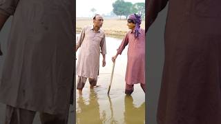 Ajj meri pani di sari aa 🤣😂 viral shorts trending trendingshorts viralshorts ytshorts [upl. by Anolla]