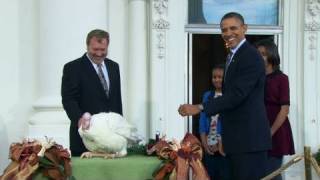 Obama spares two turkeys [upl. by Cannell]