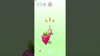 Play and treat Feebas with berries pokemon go pokemon pokemongo feebas [upl. by Yhtak]