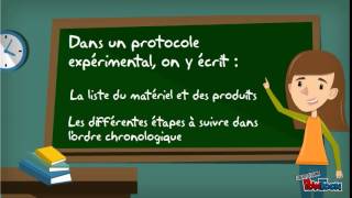 Lécriture dun protocole expérimental [upl. by Ellehcram]