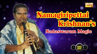 ✨Enchanting Melodies Nadaswaram Magic of Namagiripettai Krishnan  Carnatic Instrumental Jukebox [upl. by Einttirb]