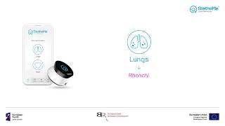 Lungs auscultation  rhonchi 1 [upl. by Enitnelav583]