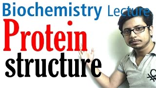 Protein structure  primary secondary tertiary and quaternary structure of protein [upl. by Mark]