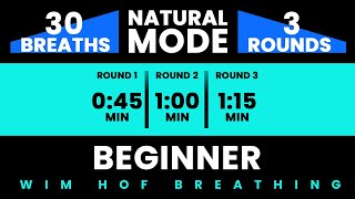 Beginner Wim Hof Guided Breathing  3 Rounds  30 Breaths  Pure Breathwork No Frequencies [upl. by Nyrehtac]