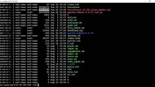 Tutorial001Unix Basic Command  ls command explained in depth Tutorials for beginners Hindi [upl. by Anai]