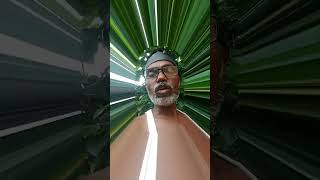 Ajay Prasad Chandravanshi comedy dialogue unhone peace ke Kuchal ke Chaba Ke [upl. by Pietro]