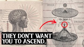 How to Know if Youre Ascending to The 5th Dimension  7 Signs You’re Shifting [upl. by Ally370]