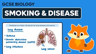 Tobacco in any form is harmful and is the reason for almost 13 lakh deaths every year  Dr Shreya [upl. by Lecrad]