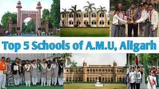 Top 5 Schools of AMU Aligarh  Aligarh Muslim University Aligarh Uttar Pradesh India 🇮🇳 [upl. by Thera436]