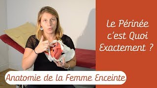 Le Périnée Cest Quoi A Quoi Il Sert Pendant La Grossesse  Anatomie de la Femme Enceinte [upl. by Huan542]