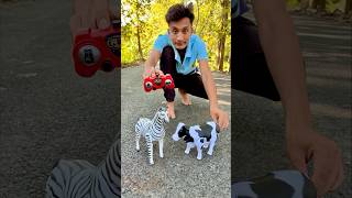 RC Remote control Two Horse 🐎 with Cow testing 🔥 [upl. by Amolap]