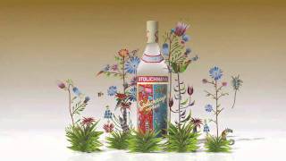 Stolichnaya limited edition 2010 by Yuri Gorbachev [upl. by Eemaj]