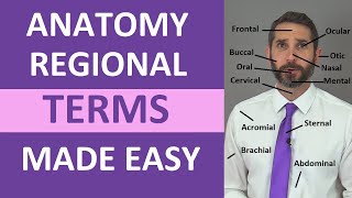 Regional Terms Anatomy  Body Parts Name  Nursing Medical Terminology Made Easy [upl. by Auqinot]