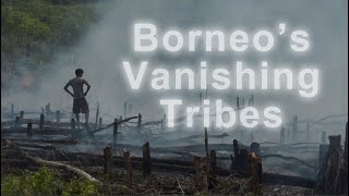 Borneos Vanishing Tribes [upl. by Amat567]