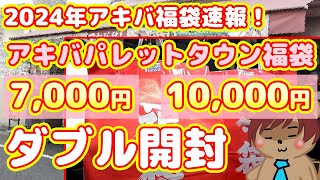 【2024年アキバ福袋速報】アキバパレットタウンの7000円10000円福袋ダブル開封！【福袋速報Part1】 [upl. by Dlorad]