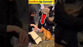 Confirm Ap Jannati   shortsfeed viral facts [upl. by Aekim]