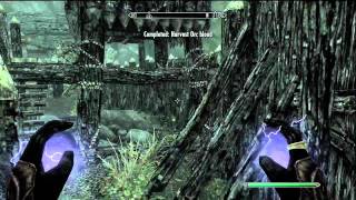 Skyrim Discerning The Transmundane Harvest Blood Walkthrough [upl. by Nref]