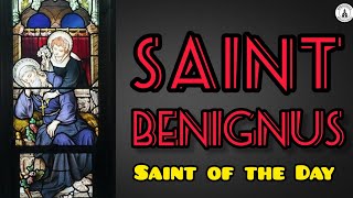 Saint Benignus of Armagh also known as Patrick’s Psalm Singer  Saint of the Day  Story of Saints [upl. by Dielle]