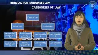 INTRODUCTION TO BUSINESS LAW [upl. by Lubet]