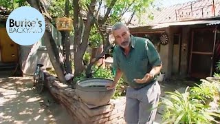 Burkes Backyard in China Hutong Beijing [upl. by Ethbun]