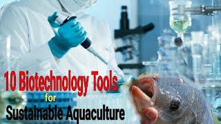 Top 10 Biotechnology Tools for Sustainable Aquaculture [upl. by Dachi324]