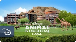 Disney’s Animal Kingdom Lodge  Walt Disney World [upl. by Cressi]