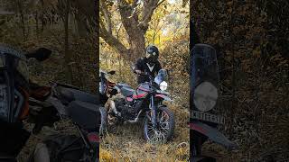 Himalayan 450 Vs Adventure 390  Exhaust Comparison [upl. by Pincus645]