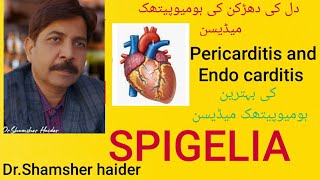 BENIFITS OF SPIGELIA Heomepathy medicine۔heart problem۔ [upl. by Enneire752]