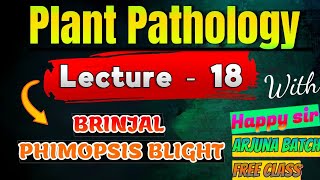 lec 18 Phomopsis Blight Disease  Fruit rot disease of brinjal  Plant Pathology plantpathology [upl. by Javed]