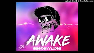 Elee Bermudez  AWAKE  Original Mix Demo [upl. by Salohcim27]