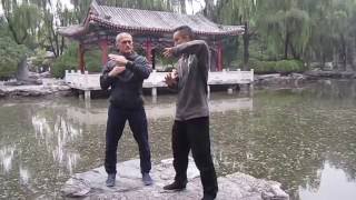 Daoyin exercise for digestion with Coach Steve Maxwell [upl. by Nnanaej695]