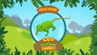 Green Iguana  Leo The Wildlife Ranger Animal Diaries  Animal Facts for Kids [upl. by Akihsat]