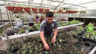 CA Ag Careers Agriculture Teacher [upl. by Anier]