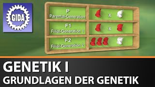 Trailer  Genetik I  Grundlagen der Genetik  Biologie  Schulfilm [upl. by Kenon]