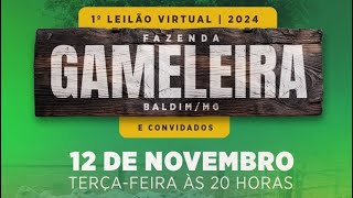 1º Leilão Virtual Fazenda Gameleira  BaldimMG [upl. by Ekalb]