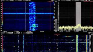 Skyking and interference 11175 kHz USB June 16 2011 0438 UTC [upl. by Ienttirb427]