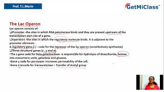 Regulation of gene expression [upl. by Alasteir]