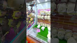 おくるみベビーなまがきが可愛過ぎる クレーンゲーム つぶらな瞳 確率機 ゲーセン clawmachine [upl. by Cirtemed]