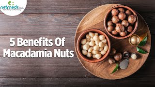 Top 5 Health Benefits Of Macadamia Nuts [upl. by Krispin]