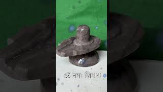 akhand narmadeshwar shivling mahakal mahadev viralvideo shambhu shortvideo [upl. by Rellim]