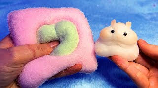 ASMR Softest Squishies in the World Most Unique Texture EVER [upl. by Dibb]