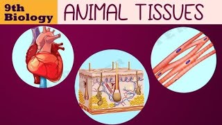 Class 9 science Animal tissue Epithelium tissue part 1🔥🔥🔥 [upl. by Rehpotsrhc]